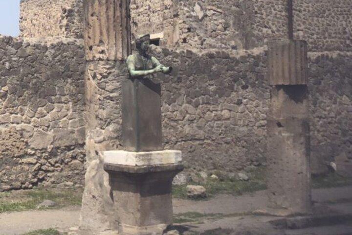 Pompeii Private Guided Tour from Rome with Lunch
