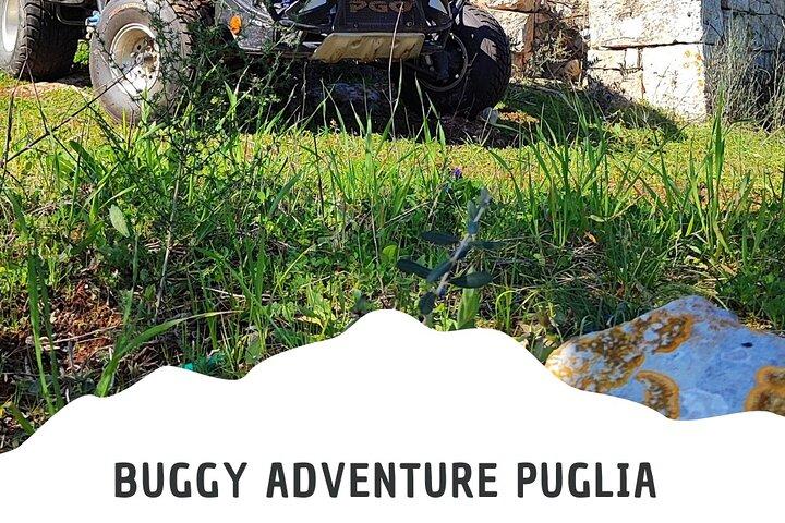 Buggy Tour in Puglia near Alberobello Polignano a mare