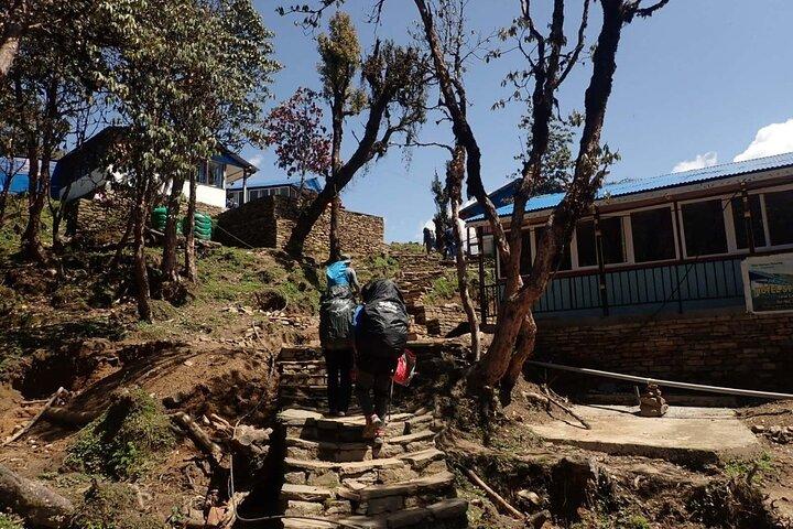 4 Days Mardi Himal Base Camp Trek from Pokhara