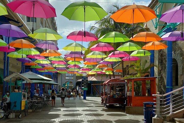 Port Louis Market, Botanical Garden & Temple-North Mauritius Tour