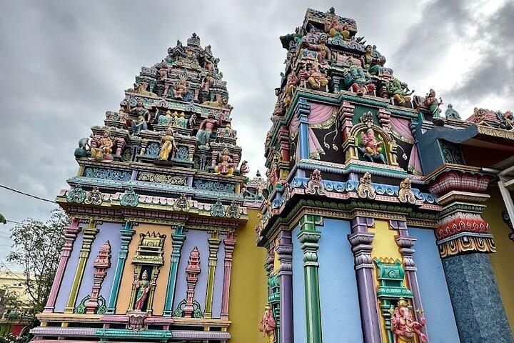 Port Louis Market, Botanical Garden & Temple-North Mauritius Tour