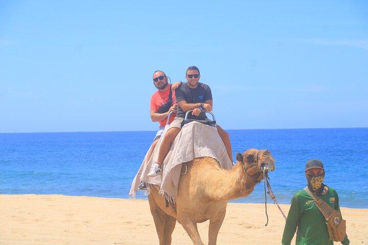 2x1 Tour: Cabo San Lucas Arch + Camels Ride + Pick up!