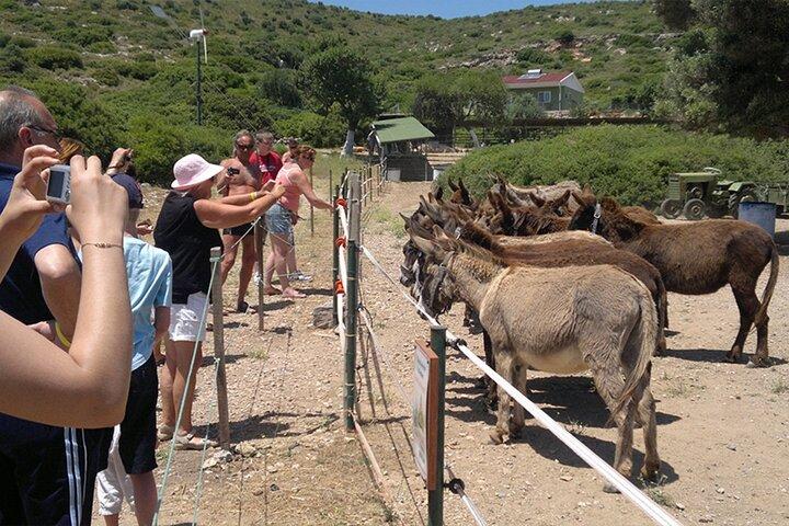 Cesme Boat Tour Hidden Bays Cruise with Swimming Stops
