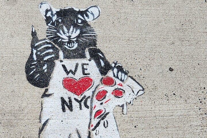 Garbage and Rats in New York City Walking Tour