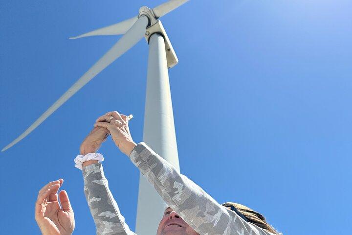 Palm Springs Windmill Guided Tour by Golf Cart