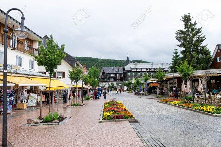 Private Day Tour to Germany : Rhine Falls, Titisee & Black Forest