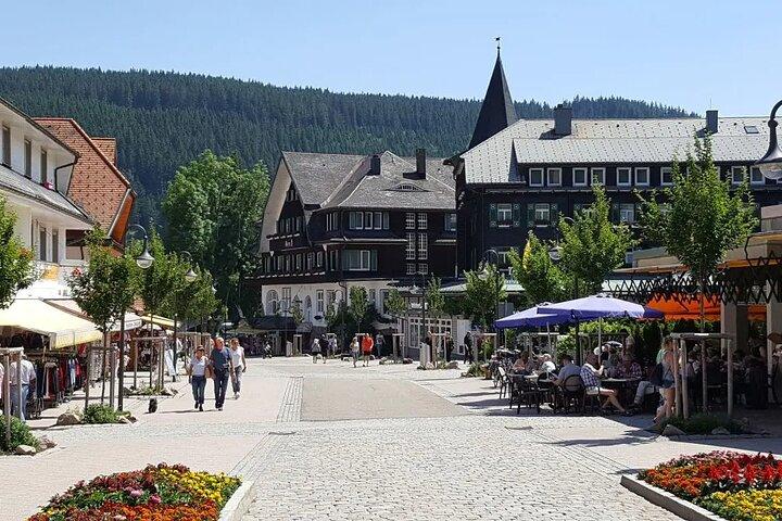 Private Day Tour to Germany : Rhine Falls, Titisee & Black Forest