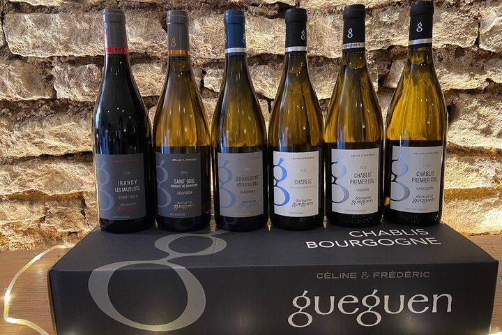 Private Wine Tasting Tour in Chablis Burgundy from Paris
