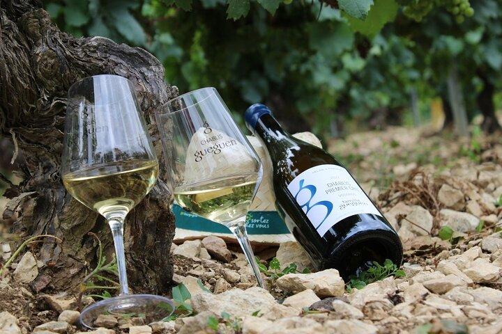 Private Wine Tasting Tour in Chablis Burgundy from Paris