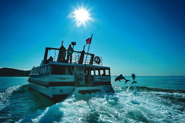 Akaroa Swim with Dolphins Tour from Christchurch