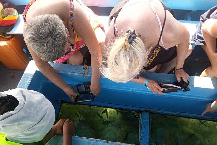 Diani Beach: Glass-bottom Boat Ride with Underwater Show