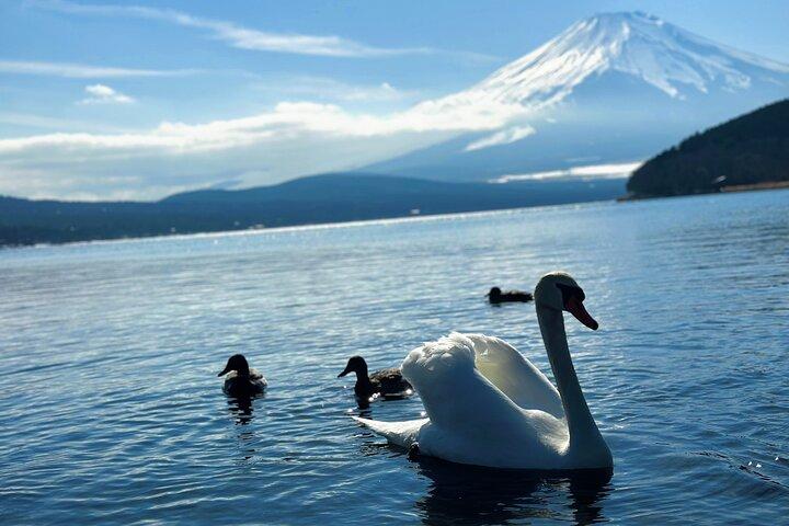 Mount Fuji (Mt. fuji) private tour by car with pickup from Tokyo