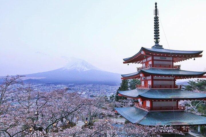 Mount Fuji (Mt. fuji) private tour by car with pickup from Tokyo