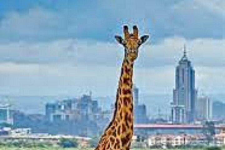Nairobi National Park Sheldrick Wildlife and Giraffe Center