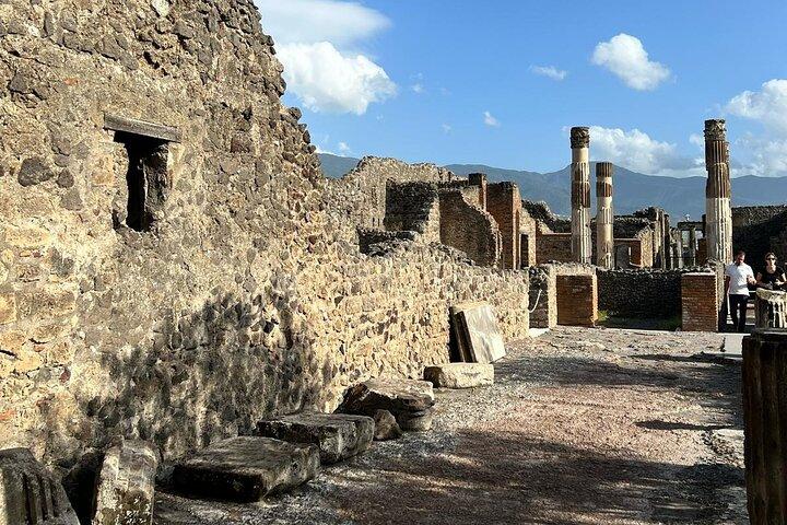 Pompeii Ruins Guided Tour from Ravello