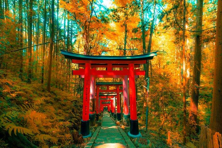 Private Kyoto Customizable Day Tour with Guide and Vehicle