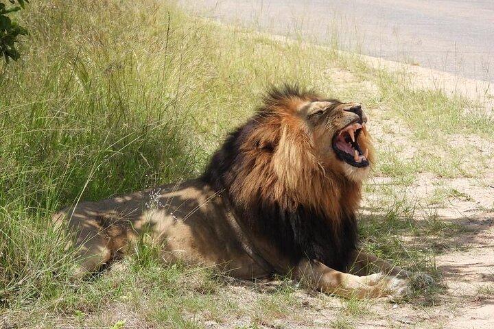 3 Days Murchison Falls National Park with Bigfive