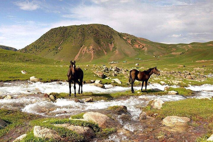 Full Day in Nature at Chunkurchak and Ala Archa National Park