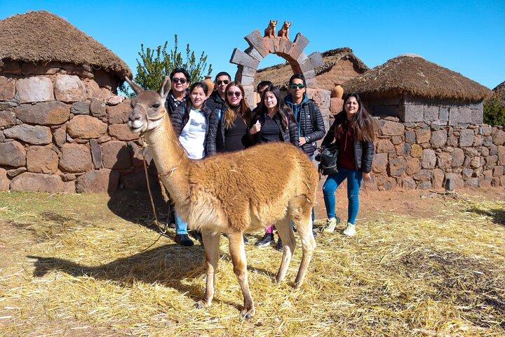 Sillustani Tour from Puno with Lake Umayo