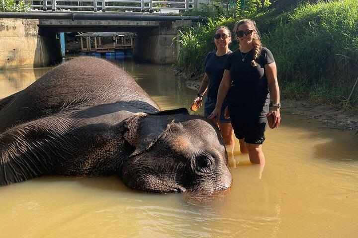 10 Days in Paradise Sri Lanka with an Expert Tour Driver