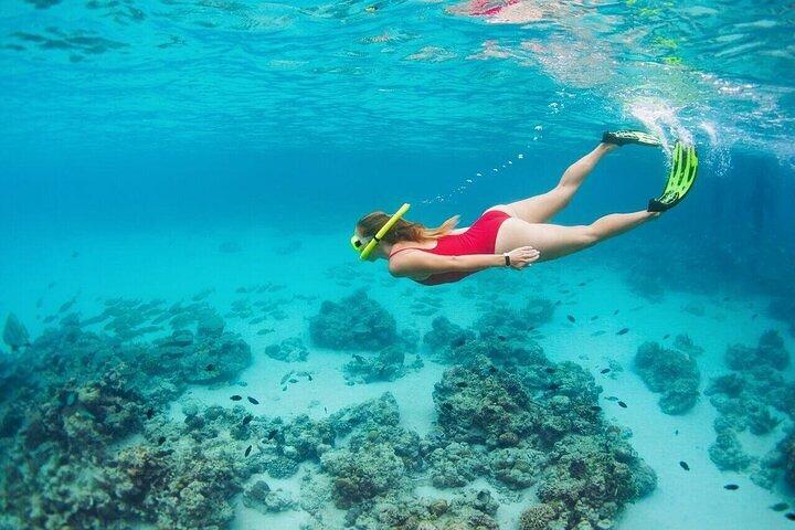 Snorkeling Experience in Cancun - Hands Underwater Museum