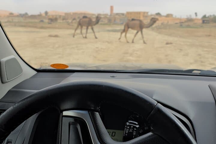 Marrakesh Transport : Hire Car & Driver