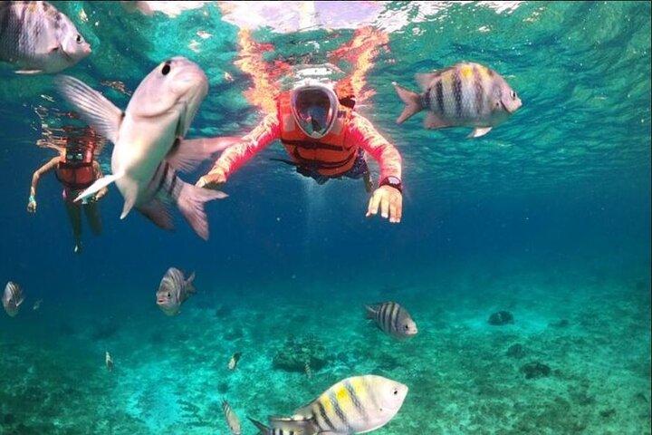 Entrance to Chankanaab with Snorkeling on Cozumel Excursion