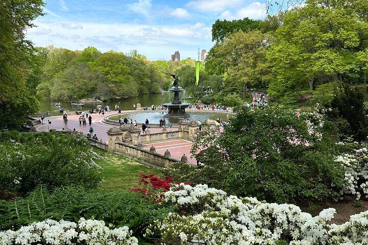 Central Park Private Pedicab Guided Tours