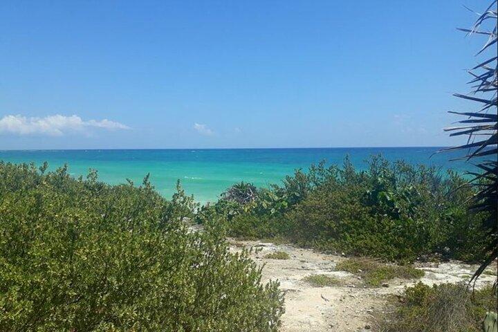 Experience Mayan Ruins San Gervasio Cozumel : Private Tour