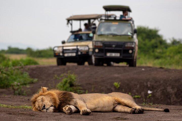 Amboseli National Park Day Tour
