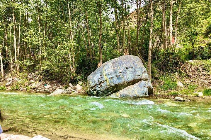 Discover the majestic Atlas Mountains and waterfalls