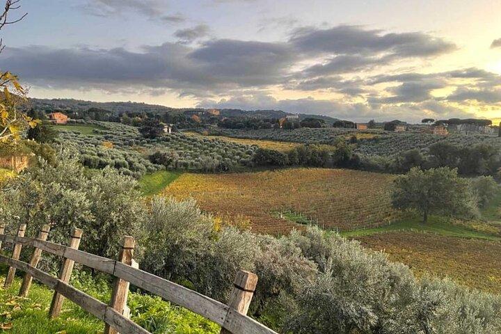 Rome Countryside Wine Tasting Tour with Private Driver and Guide