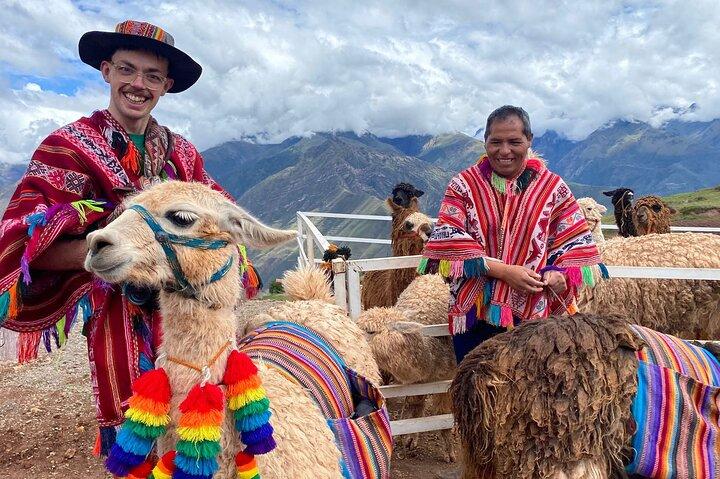 Llama & Alpaca Experience (Cusco Region): ANDEAN COLORS