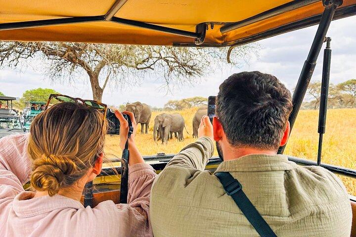 4 Days Private Safari to Serengeti and Ngorongoro