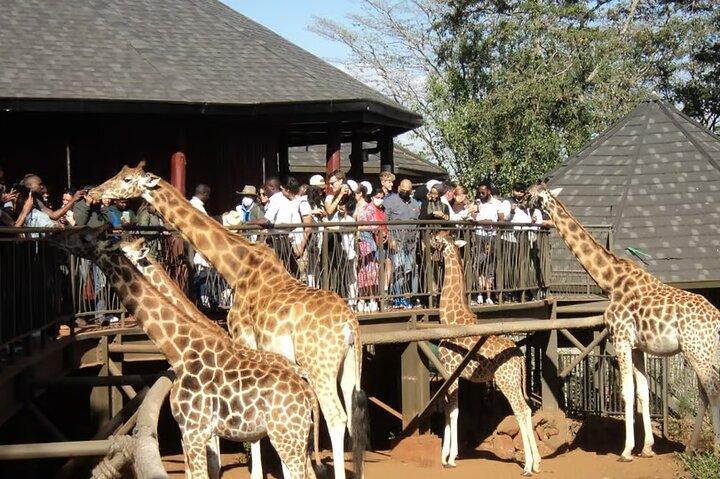 Giraffe Center Nairobi National Park with Carnivore Restaurant