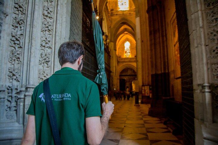 Seville: San Salvador Church, Cathedral and Giralda Guided Tour