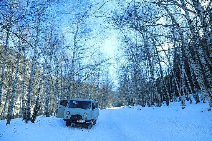 Private Charyn Canyon, Kolsai Lake with Optional Kaindy Lake tour