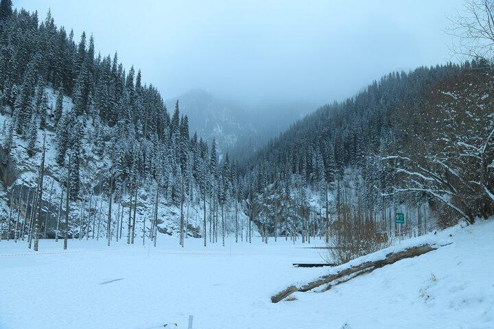 Private Charyn Canyon, Kolsai Lake with Optional Kaindy Lake tour