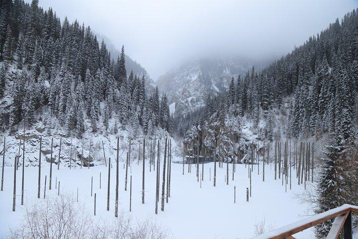 Private Charyn Canyon, Kolsai Lake with Optional Kaindy Lake tour
