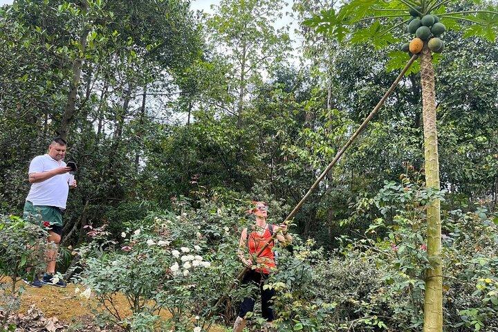 Hanoi to Duong Lam Ancient Village: Jeep Tour, History,Daily Life