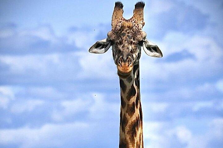 3 Days Maasai Mara Private Safari