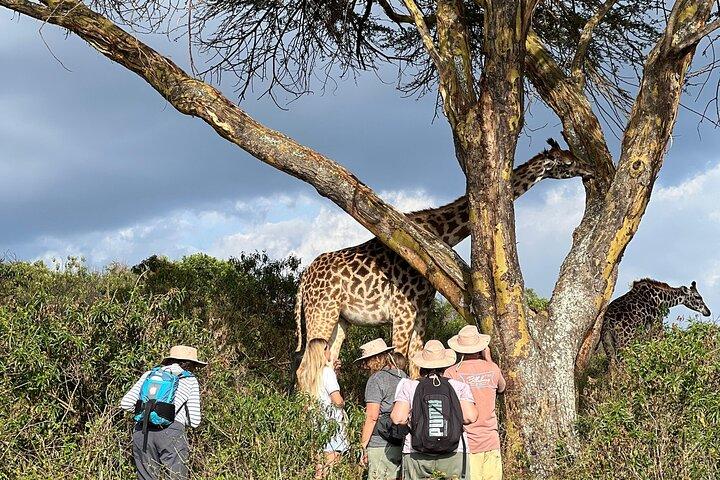 3 Days Maasai Mara Private Safari