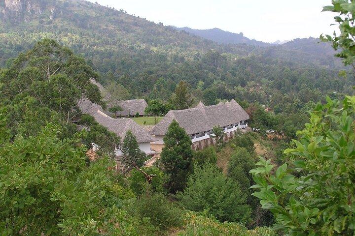 Usambara Mountains 6 Days Hiking