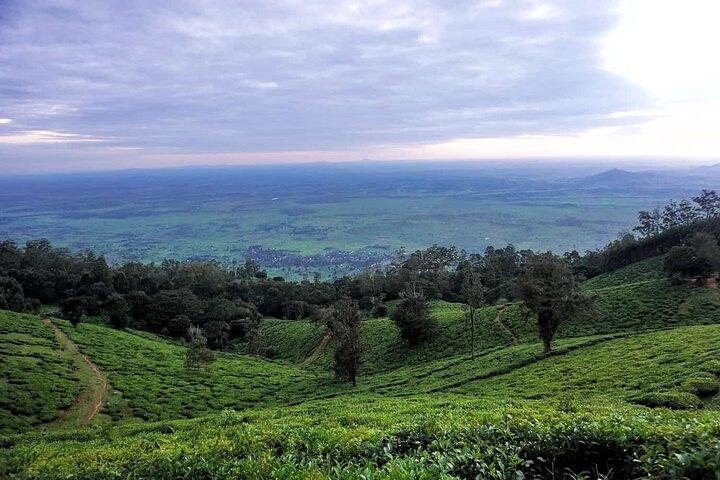 Usambara Mountains 6 Days Hiking