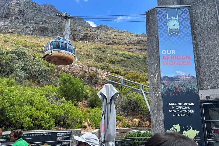 Cape Town Half-Day Table Mountain Cableway Adventure