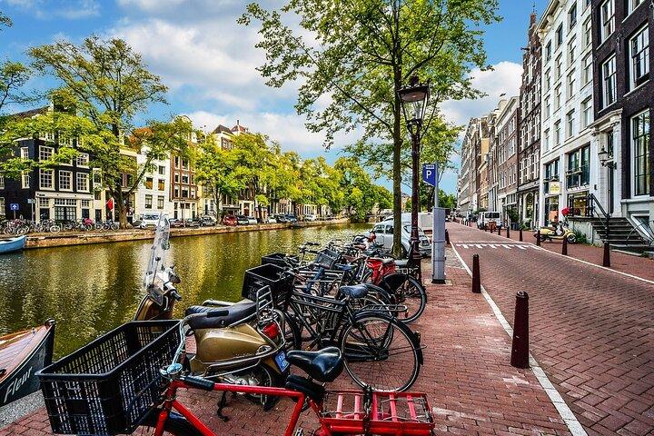 Private The Hague & Rotterdam Cultural Tour From Amsterdam