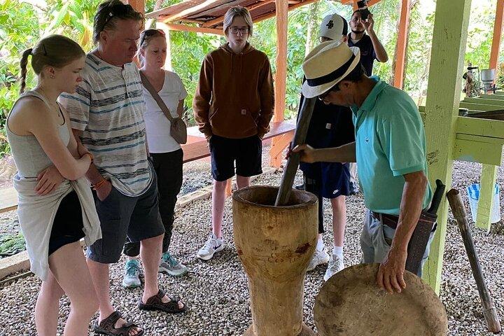 Half Day Private Tour in Dominican Republic with Local Guide