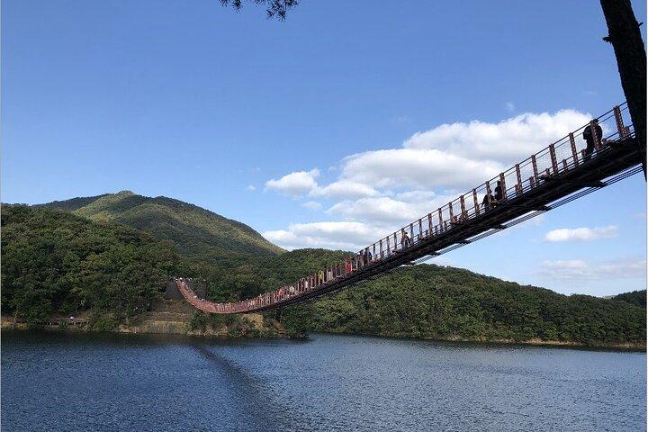 DMZ Private Tour: 3rd Tunnel, Option(Suspension Bridge, Boat)