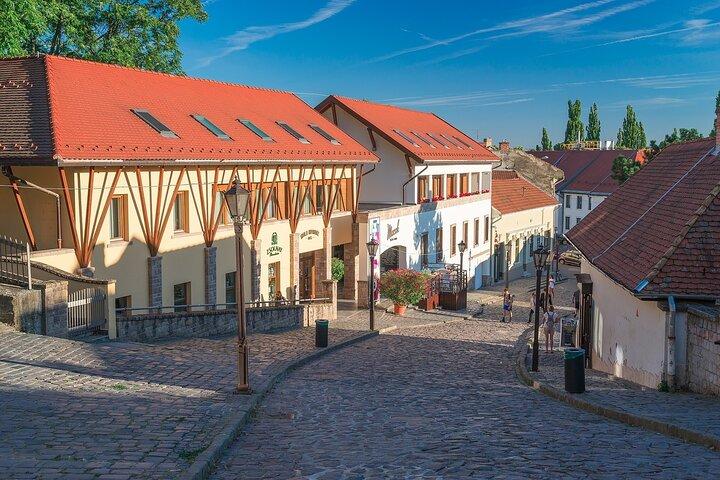 Private Eger Wine & Cultural Heritage Tour from Budapest