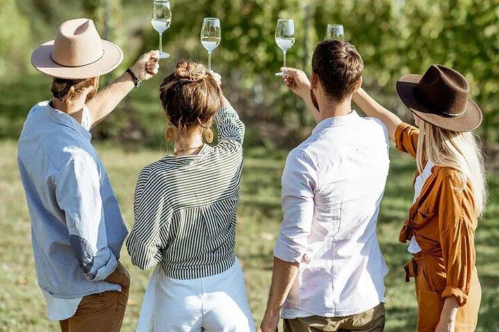 From Prague: Private Bohemian Wine Tour & Local Delicacies